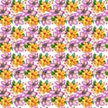 Wildflower hibiscus flower pattern in a watercolor style isolated.