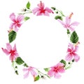 Wildflower hibiscus pink flower wreath in a watercolor style. Royalty Free Stock Photo