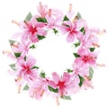 Wildflower hibiscus pink flower wreath in a watercolor style. Royalty Free Stock Photo