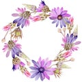 Wildflower immortelle flowerwreath in a watercolor style.