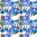 Wildflower iris flower pattern in a watercolor style.