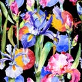 Wildflower iris flower pattern in a watercolor style.