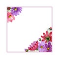 Wildflower kosmeya flower frame in a watercolor style isolated.