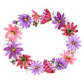 Wildflower kosmeya flower wreath in a watercolor style isolated.