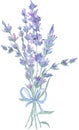 Wildflower lavender flower bouquet in a watercolor style isolated. Full name of the plant: lavender. Aquarelle wild