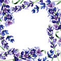 Wildflower lavender flower frame in a watercolor style. Royalty Free Stock Photo