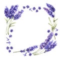 Wildflower lavender flower frame in a watercolor style isolated. Royalty Free Stock Photo