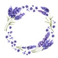 Wildflower lavender flower wreath in a watercolor style isolated. Royalty Free Stock Photo