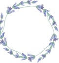 Wildflower lavender flower wreath in a watercolor style isolated. Full name of the plant: lavender. Aquarelle wild Royalty Free Stock Photo