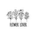 Wildflower line art vector illustration.