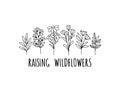 Wildflower line art vector illustration.