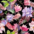 Wildflower magnolia flower pattern in a watercolor style. Royalty Free Stock Photo