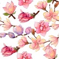 Wildflower magnolia flower pattern in a watercolor style. Royalty Free Stock Photo