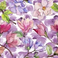 Wildflower magnolia flower pattern in a watercolor style. Royalty Free Stock Photo
