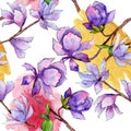 Wildflower magnolia flower pattern in a watercolor style. Royalty Free Stock Photo