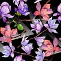 Wildflower magnolia flower pattern in a watercolor style. Royalty Free Stock Photo