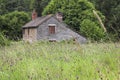 Wildflower Meadow