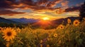 a wildflower meadow bathed in the golden hues of sunset, dominated by the vibrant yellow blooms of goldenrod