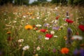 Wildflower Meadow Endless Fields Of Wildflowers, Buzzing Bees, Fluttering Butterflies. Generative AI