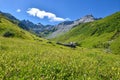 Wildflower meadow at Gafiertal valley, near St. antonien grisons landscape swiss alps Royalty Free Stock Photo