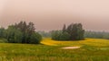 Wildflower meadow with green and yellow fields under overcast sky Royalty Free Stock Photo