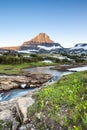 Wildflower meadow at Logan Pass, Glacier National Park, MT Royalty Free Stock Photo