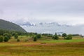 Wildflower meadows in the moor, Bondone mountain, Royalty Free Stock Photo