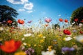 Wildflower Meadows. Nature's Tapestry