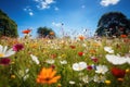 Wildflower Meadows. Nature's Tapestry