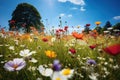 Wildflower Meadows. Nature's Tapestry