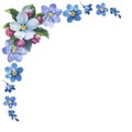 Wildflower myosotis flower frame in a watercolor style isolated.