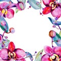 Wildflower orchid flower frame in a watercolor style.