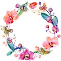 Wildflower orchid flower wreath in a watercolor style.