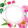 Wildflower peonies flower frame in a watercolor style.