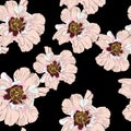 Wildflower peony flower seamless pattern isolated on black background.