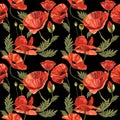 Wildflower poppy flower pattern in a watercolor style . Royalty Free Stock Photo