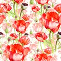 Wildflower poppy flower pattern in a watercolor style. Royalty Free Stock Photo