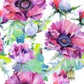 Wildflower poppy flower pattern in a watercolor style. Royalty Free Stock Photo