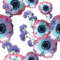 Wildflower poppy flower pattern in a watercolor style isolated. Royalty Free Stock Photo