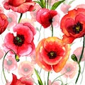 Wildflower poppy flower pattern in a watercolor style isolated.