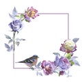 Wildflower rose flower frame in a watercolor style isolated. Royalty Free Stock Photo