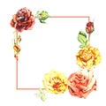 Wildflower rose flower frame in a watercolor style isolated. Royalty Free Stock Photo