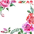 Wildflower rose flower frame in a watercolor style isolated. Royalty Free Stock Photo