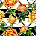 Wildflower rose flower pattern in a watercolor style.