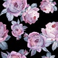 Wildflower rose flower pattern in a watercolor style isolated.