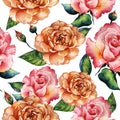 Wildflower rose flower pattern in a watercolor style isolated. Royalty Free Stock Photo