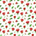 Wildflower rose flower pattern in a watercolor style isolated. Full name of the plant: red rose, hulthemia, rosa. Royalty Free Stock Photo