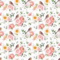 Wildflower rose flower pattern in a watercolor style isolated. Full name of the plant: rose, hulthemia, rosa.