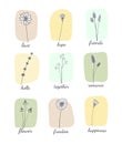 Wildflower set. Botany illustration. Isolated doodle flower