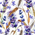 Wildflower spica pattern in a watercolor style. Royalty Free Stock Photo